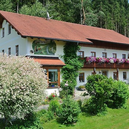 Haus Am Waldrand - Ferienwohnung Augustin Grafenau  Dış mekan fotoğraf