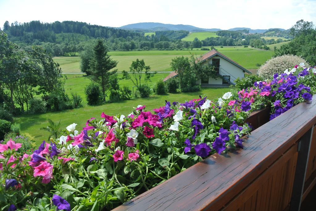 Haus Am Waldrand - Ferienwohnung Augustin Grafenau  Dış mekan fotoğraf
