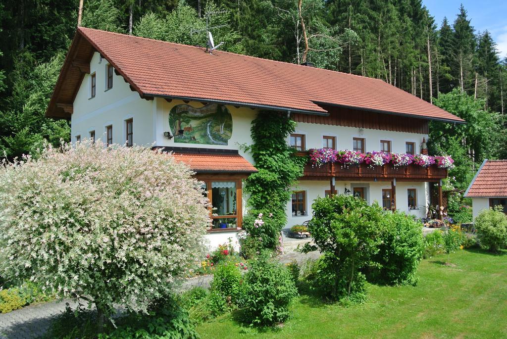 Haus Am Waldrand - Ferienwohnung Augustin Grafenau  Dış mekan fotoğraf