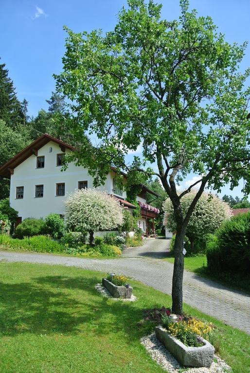 Haus Am Waldrand - Ferienwohnung Augustin Grafenau  Dış mekan fotoğraf