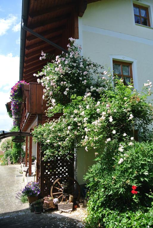 Haus Am Waldrand - Ferienwohnung Augustin Grafenau  Dış mekan fotoğraf